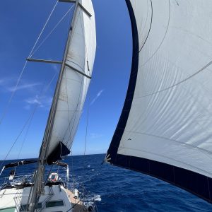 Foto 2-6-24, 14 56 10