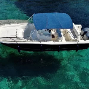 white_sharkPhoto_6554102_DJI_502_jpg_4768854_0_20214231520_photo_original