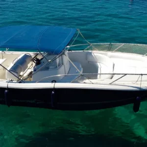 white_sharkPhoto_6554107_DJI_507_jpg_4650386_0_202142315318_photo_original