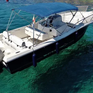 white_sharkPhoto_6554108_DJI_508_jpg_4689832_0_202142315334_photo_original