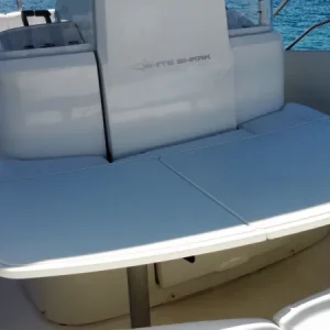 white_sharkRemoteMediaFile_6554089_0_2021_04_23_14_56_12