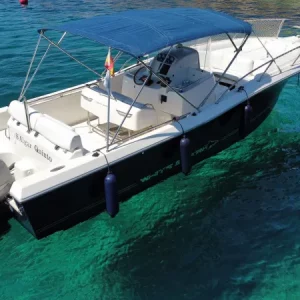 white_sharkRemoteMediaFile_6554108_0_2021_04_23_15_03_34